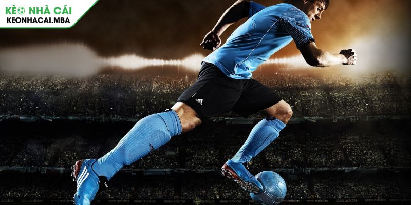 Giải mã ngôn ngữ cáp kèo