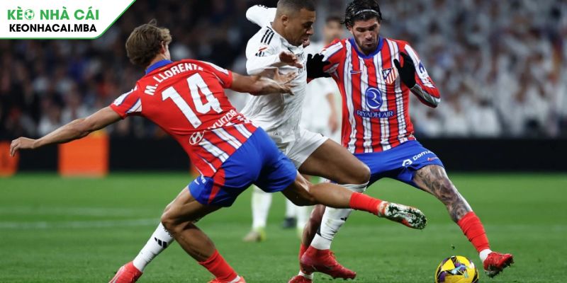 Dự đoán kèo thơm cập nhật thông tin giải đấu