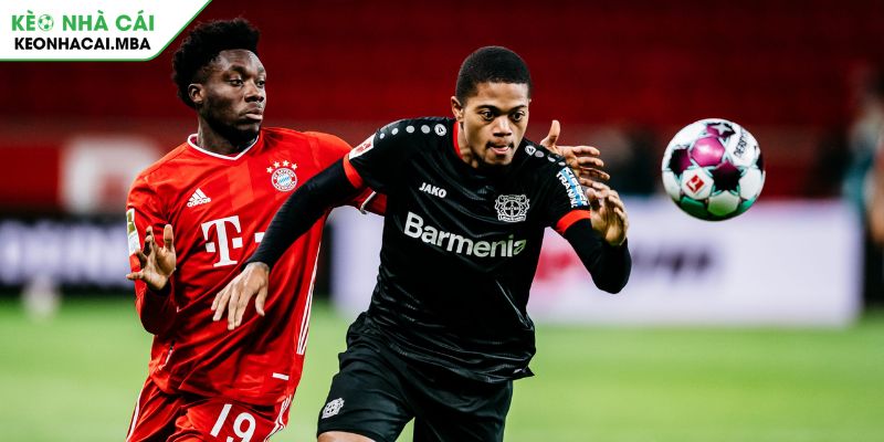 Giải Bundesliga Là Gì Khám Phá Giải Đấu Hàng Đầu Nước Đức 4 Giải Bundesliga là gì cơ hội tham dự