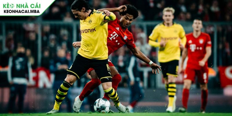 Giải Bundesliga Là Gì Khám Phá Giải Đấu Hàng Đầu Nước Đức 3 Khám phá thể thức thi đấu hấp dẫn của giải Bundesliga là gì?