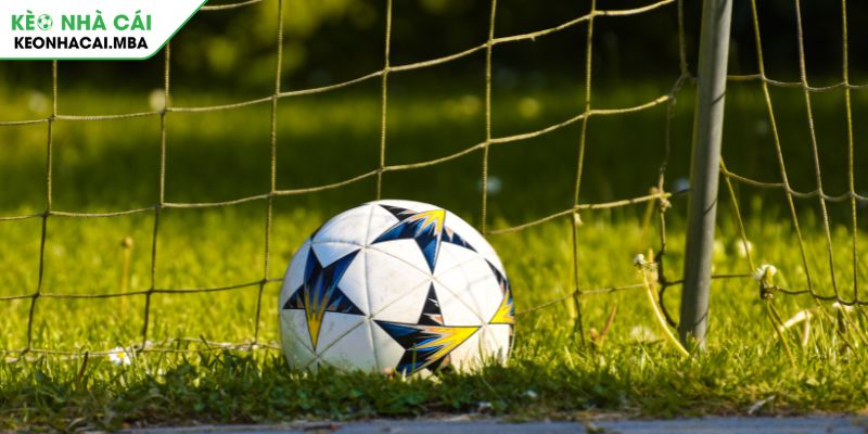 Bật mí tuyệt chiêu bắt kèo chẵn lẻ từ cao thủ