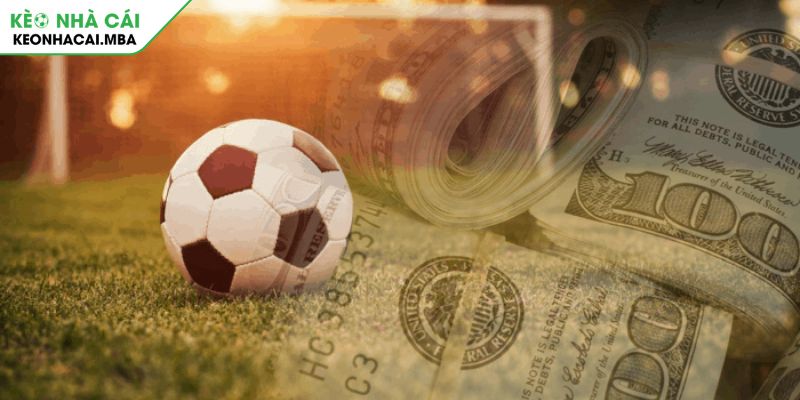 Kèo Chấp 1/2 Bí Mật Thắng Của Các Cao Thủ Cá Cược Bóng Đá 4 Cẩn trọng khi đội khách áp dụng kèo chấp 1/2