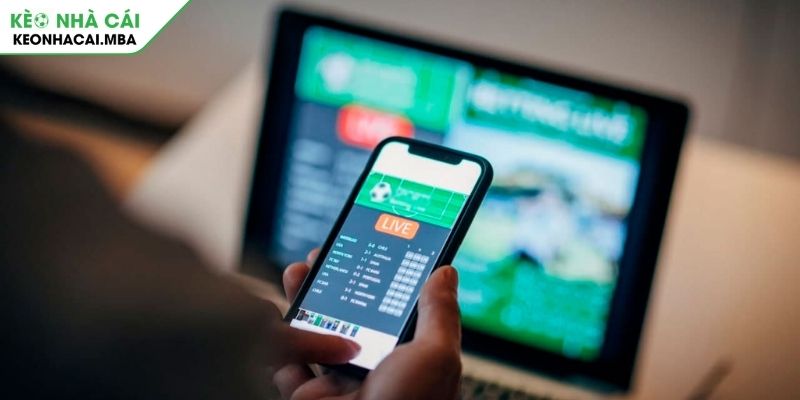 Các lựa chọn cược cơ bản trong kèo giữ sạch lưới