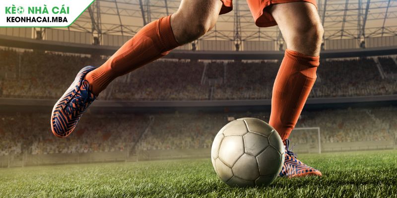 Kèo Moneyline Chinh Phục Chiến Thắng Trong Cá Cược Bóng Đá 2 Giải mã sức hút của kèo Moneyline