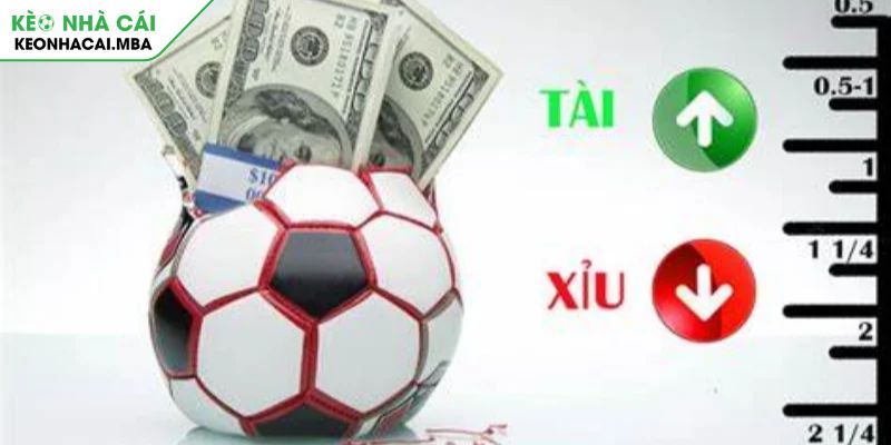 Kèo Tài Xỉu 3.25 Trái Bí Quyết Kiếm Lợi Nhuận Từ Chuyên Gia 3 Bí quyết nâng cao tỷ lệ thắng kèo tài xỉu 3.25 trái