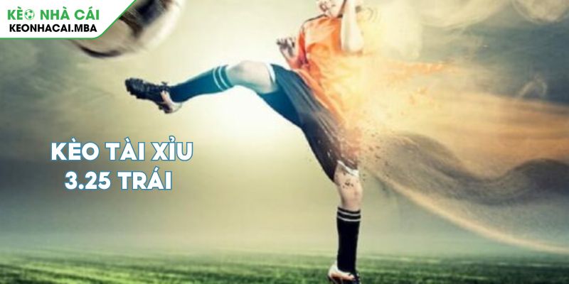 Kèo Tài Xỉu 3.25 Trái Bí Quyết Kiếm Lợi Nhuận Từ Chuyên Gia 2 Giải mã kèo tài xỉu 3.25 trái