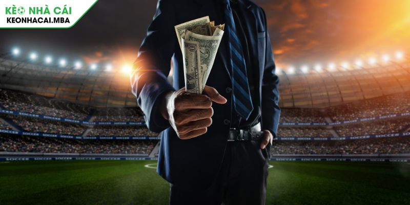 Nghiên cứu trước khi đặt cược kèo tuồng là gì?