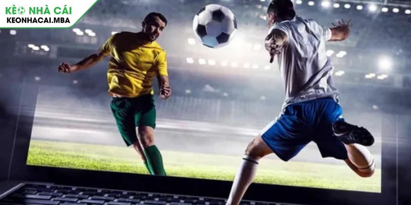 Phân tích toàn diện tài xỉu 3 trái