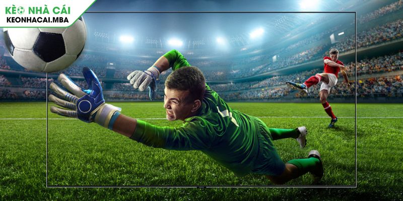 Xả Kèo Là Gì Bí Quyết Thoát Hiểm & Tối Ưu Lợi Nhuận Cá Cược 2 Hé lộ khái niệm xả kèo là gì cho tân binh