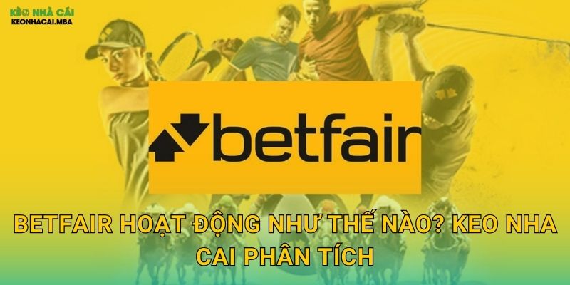 Betfair Hoạt Động Như Thế Nào? Keo Nha Cai Phân Tích