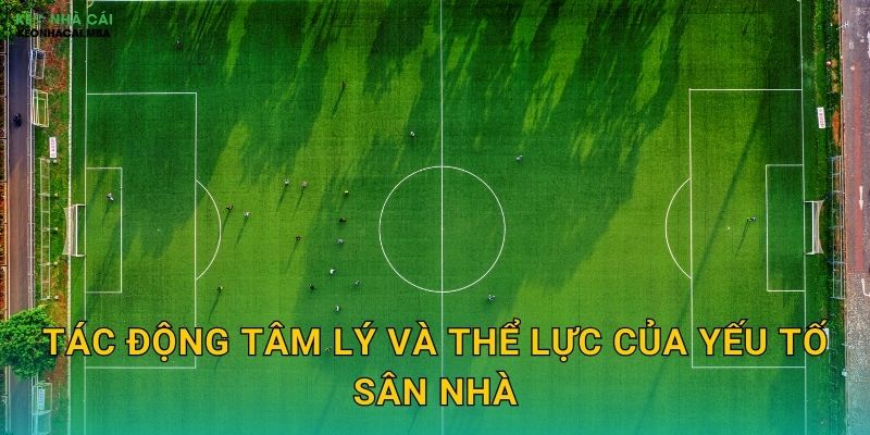 Ảnh Hưởng Sân Nhà Sân Khách - Lợi Thế Địa Lý Trong Phân Tích Kèo Nhà Cái 2 Tác động tâm lý và thể lực của yếu tố sân nhà