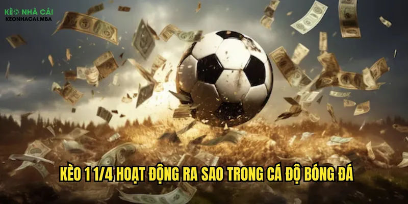 Chinh Phục Kèo 1 1/4 Kèo Nhà Cái - Bí Kíp Từ A Đến Z 2 Kèo 1 1/4 hoạt động ra sao trong cá độ bóng đá