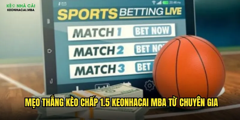 Kèo Chấp 1.5 Keonhacai Mba - Bí Kíp Cược Chấp 1 Rưỡi Chuẩn Xác 3 Mẹo thắng kèo chấp 1.5 keonhacai mba từ chuyên gia