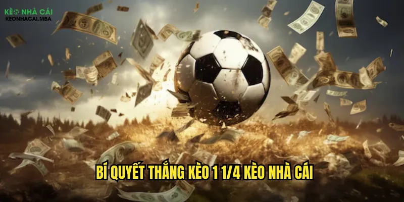 Chinh Phục Kèo 1 1/4 Kèo Nhà Cái - Bí Kíp Từ A Đến Z 3 Bí quyết thắng kèo 1 1/4 kèo nhà cái