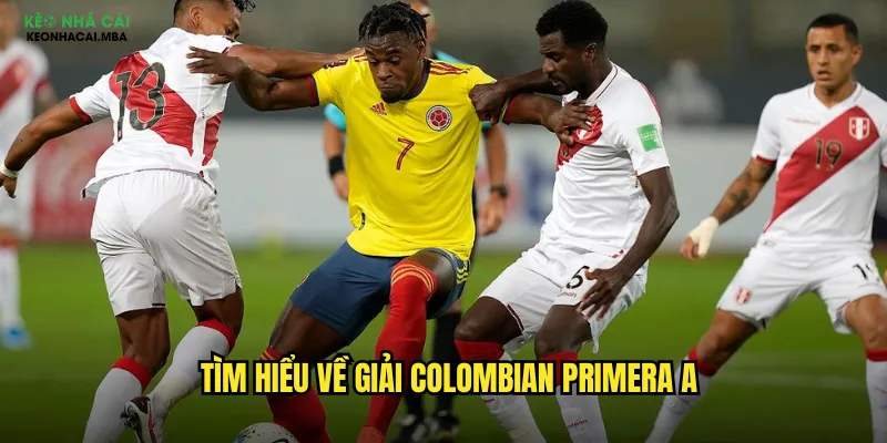 Soi Kèo Colombian Primera A Kèo Nhà Cái Mba - Chinh Phục Bóng Đá Colombia 2 Tìm hiểu về giải Colombian Primera A