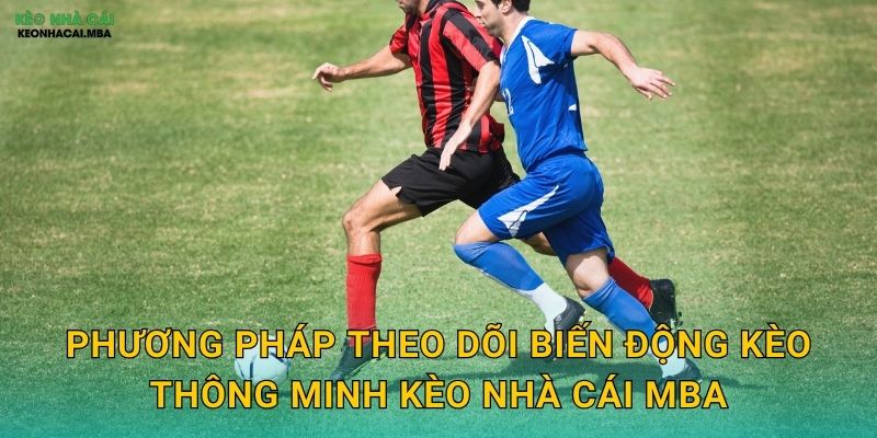 Phương pháp theo dõi biến động kèo thông minh kèo nhà cái mba