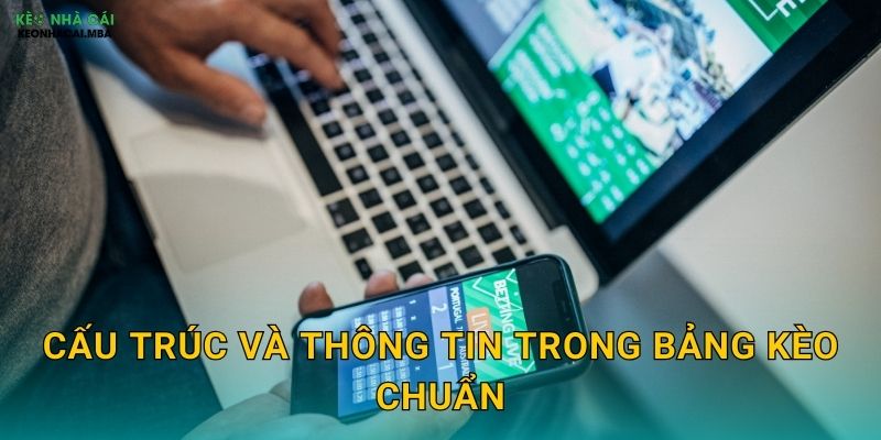 Cấu trúc và thông tin trong bảng kèo chuẩn