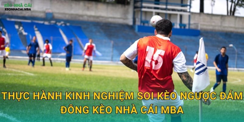 Thực hành kinh nghiệm soi kèo ngược đám đông kèo nhà cái MBA