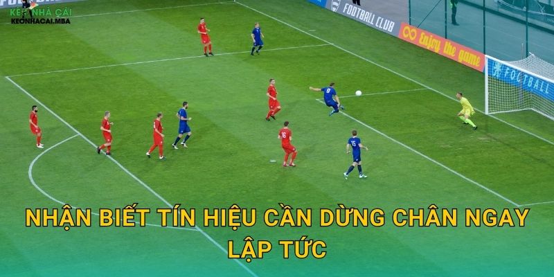 Nhận biết tín hiệu cần dừng chân ngay lập tức