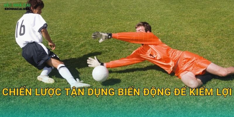 Chiến lược tận dụng biến động để kiếm lợi