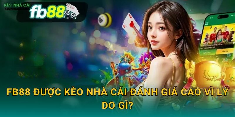 FB88 - Địa Chỉ Cá Cược Uy Tín Được Kèo Nhà Cái Tin Tưởng 2 FB88 Được Kèo Nhà Cái Đánh Giá Cao Vì Lý Do Gì?