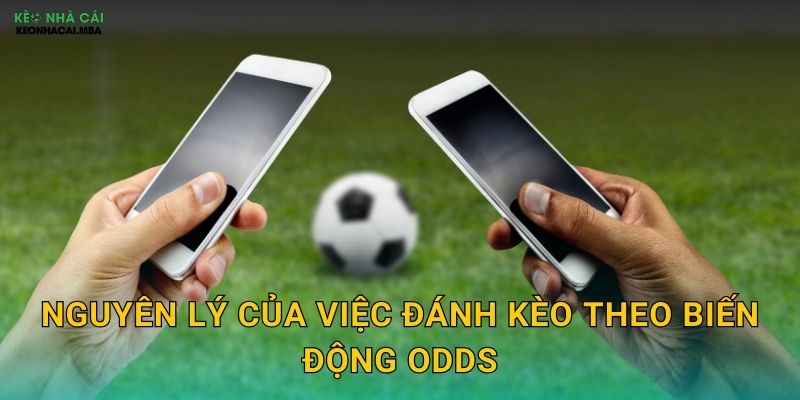 Nguyên lý của việc đánh kèo theo biến động odds