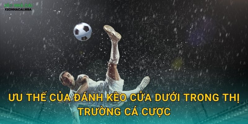 Ưu thế của đánh kèo cửa dưới trong thị trường cá cược