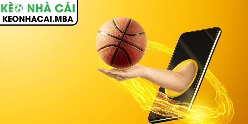 Kèo châu Âu trong bóng rổ