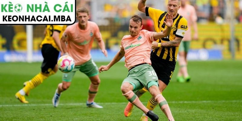 Thông tin lực lượng trận Borussia Dortmund vs Werder Bremen (02:30 14/1, Bundesliga)
