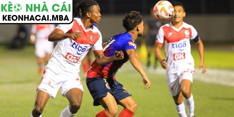 Thông tin lực lượng trận CD Nacional vs Santa Clara (22:30 11/1, VĐQG Bồ Đào Nha)