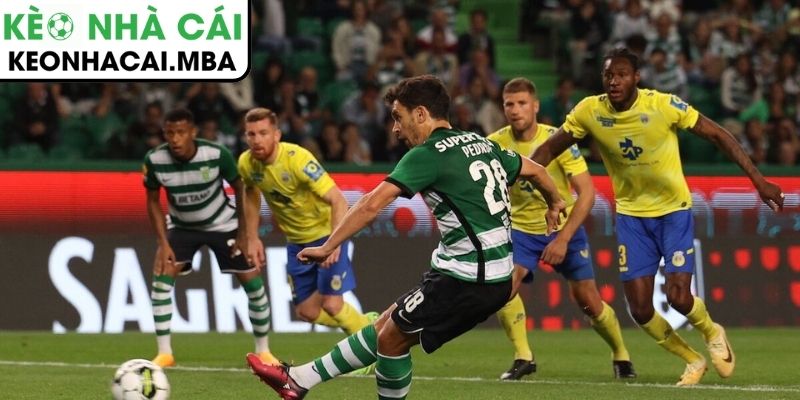 Thông tin lực lượng trận FC Arouca vs Sporting CP (01:00 25/01, VĐQG Bồ Đào Nha)