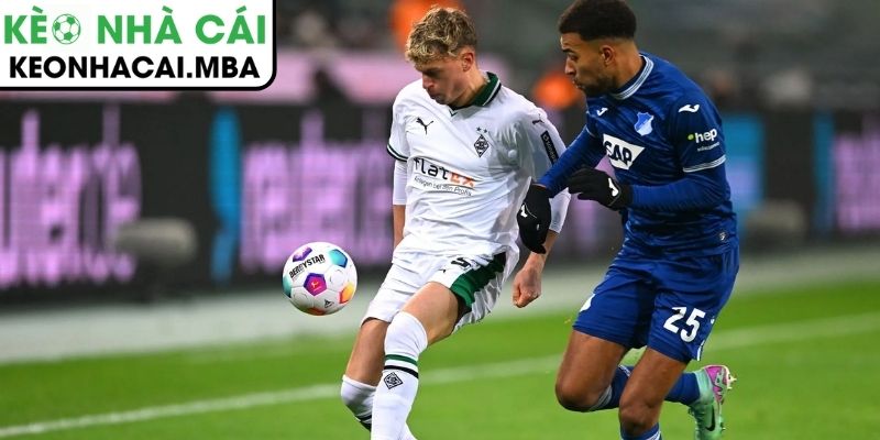 Thông tin lực lượng trận Hoffenheim vs Monchengladbach (02:30 15/01, Bundesliga)