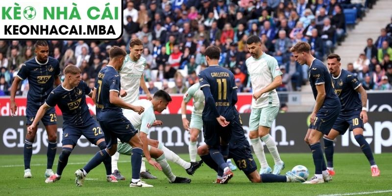 Soi kèo Werder Bremen vs Hoffenheim (02:30 28/01, Bundesliga) 4 Thông tin lực lượng trận Werder Bremen vs Hoffenheim (02:30 28/01, Bundesliga)