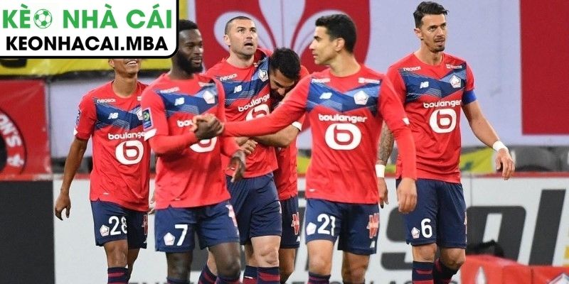 Dự đoán kết quả trận Crvena Zvezda vs Lille (00:45 27/02, UEFA Europa League)