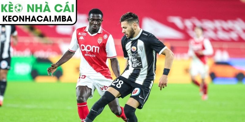 Dự đoán kết quả trận Monaco vs Angers SCO (01:00 01/03, Ligue 1)