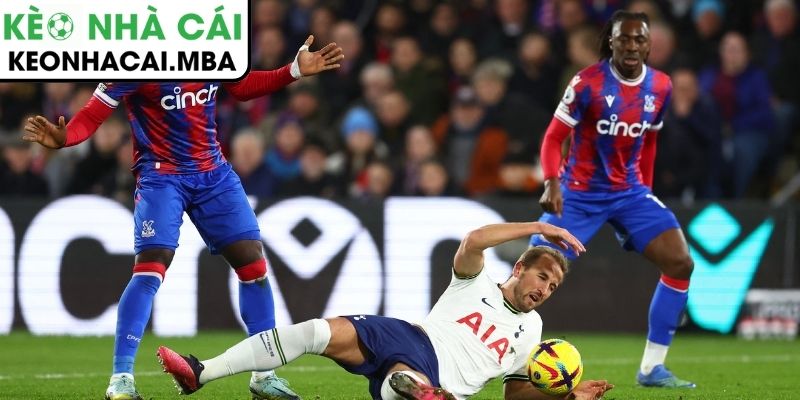 Dự đoán kết quả trận Tottenham Hotspur vs Crystal Palace (03:00 06/03, Ngoại hạng Anh)
