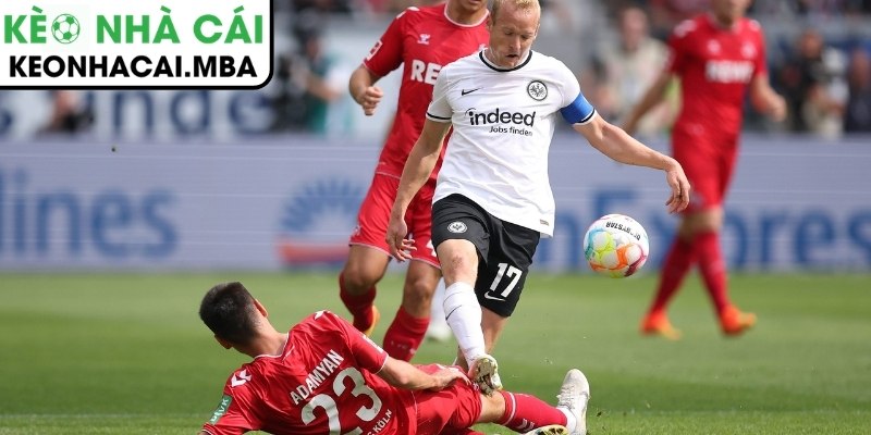 Soi kèo Eintracht Frankfurt vs Köln (22:30 05/04, Bundesliga) 4 Thông tin lực lượng trận Eintracht Frankfurt vs Köln (22:30 05/04, Bundesliga)