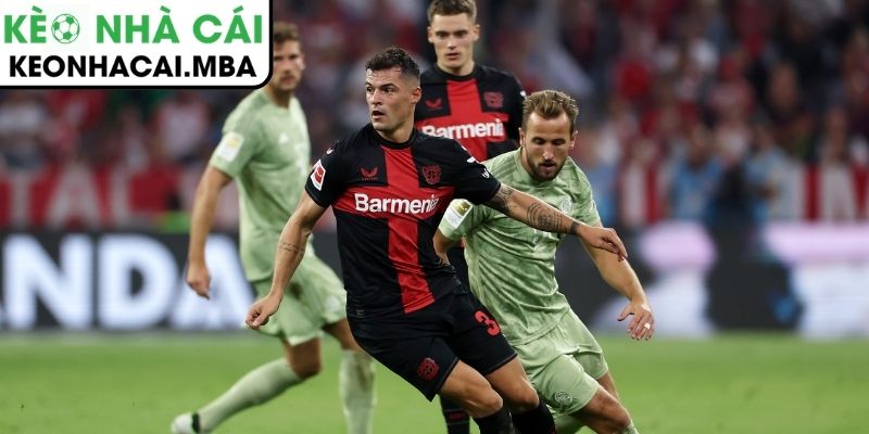 Soi kèo Bayer Leverkusen vs Bayern Munich (21:30 14/03, Bundesliga): Đại chiến hấp dẫn 4 Thông tin lực lượng trận Bayer Leverkusen vs Bayern Munich (21:30 14/03, Bundesliga)