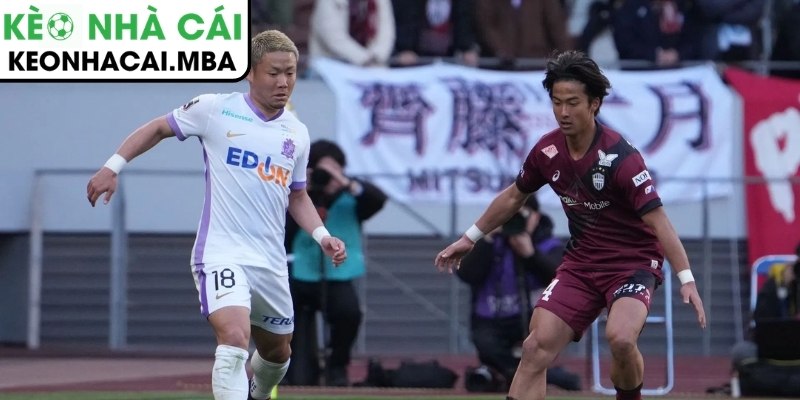 Thông tin lực lượng trận Vissel Kobe vs Sanfrecce Hiroshima (17:00 27/03, J-League 1)